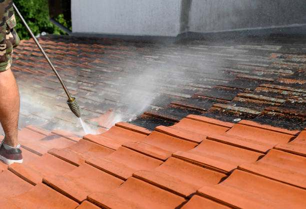 Best Affordable Power Washing  in Indianola, MS